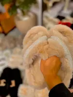Slipper Sire - Image 4