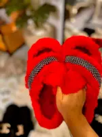 Slipper Sire - Image 3