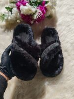 Slipper Sire