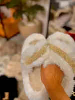 Slipper Sire - Image 2