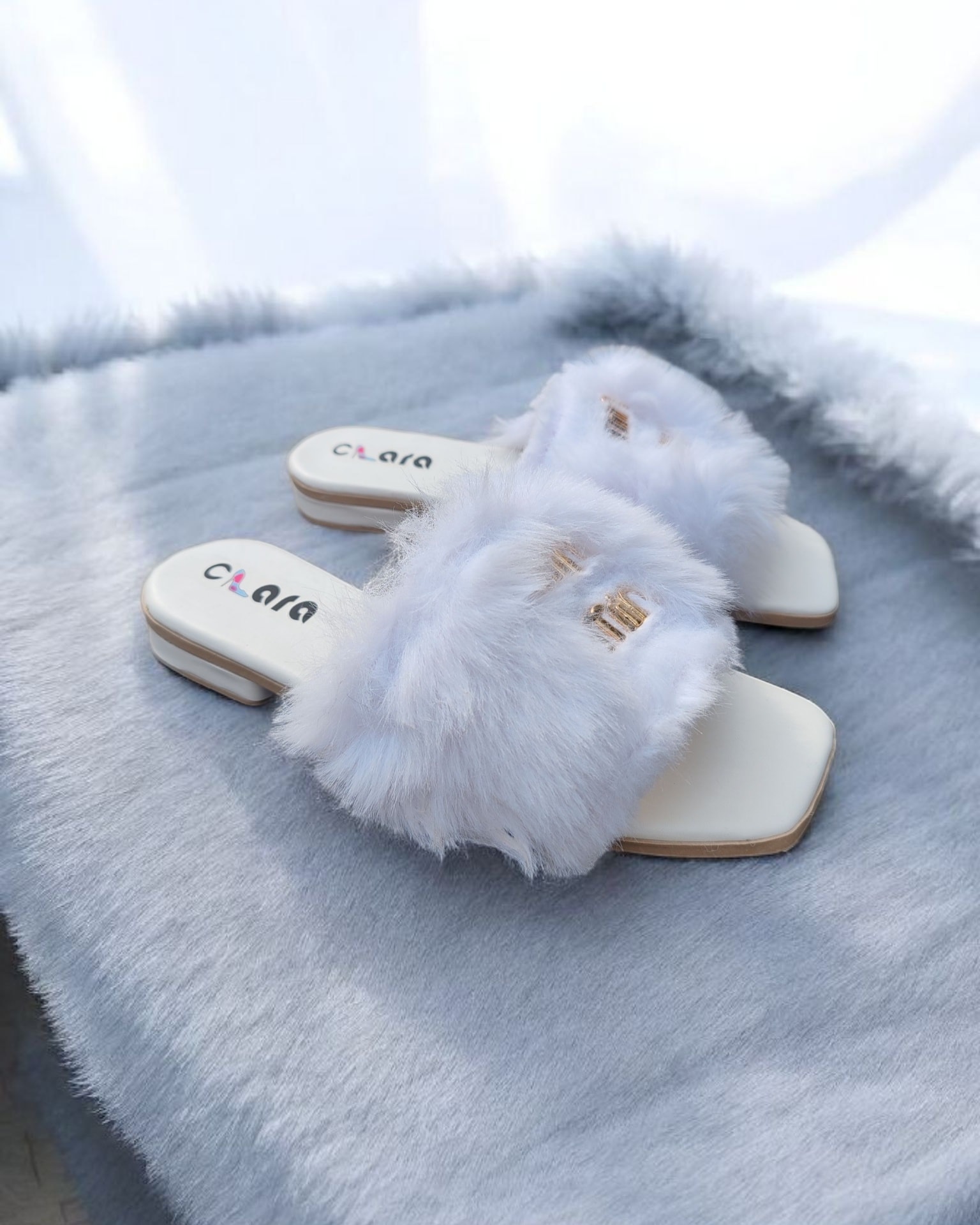 558010643_122135748746943686_7489674794358217916_n