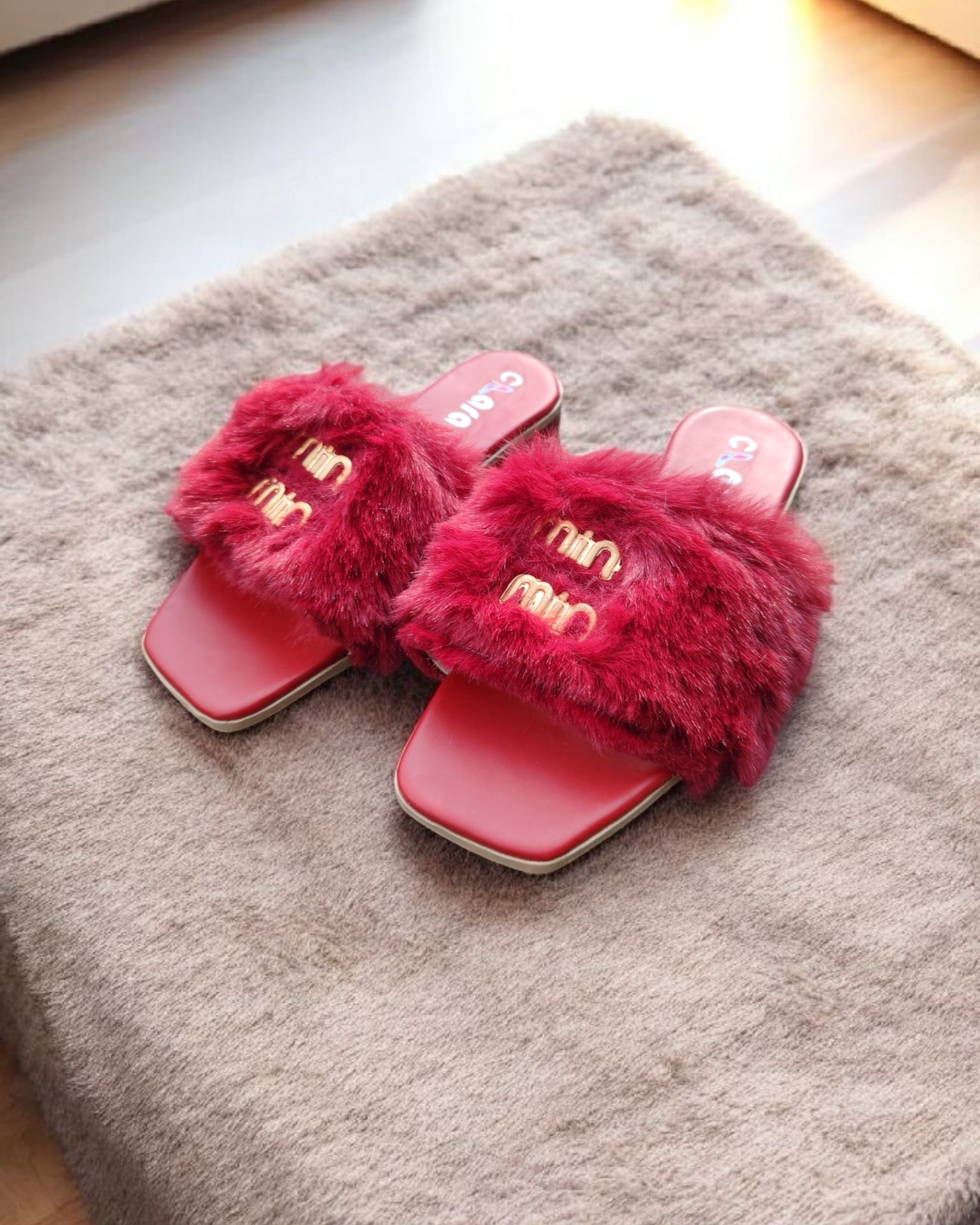 558401774_122135748818943686_5477292704183834920_n