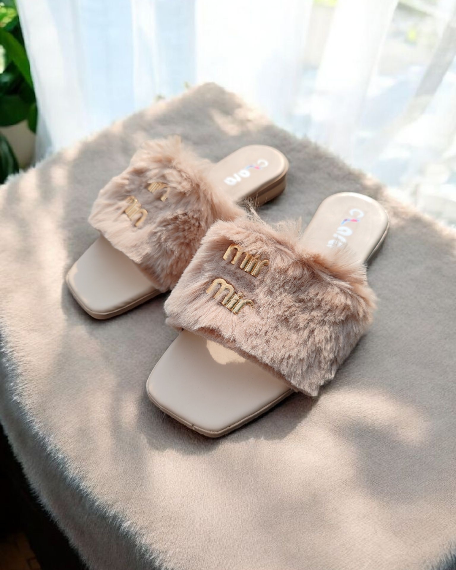 564192679_122135748794943686_7879475488618475733_n