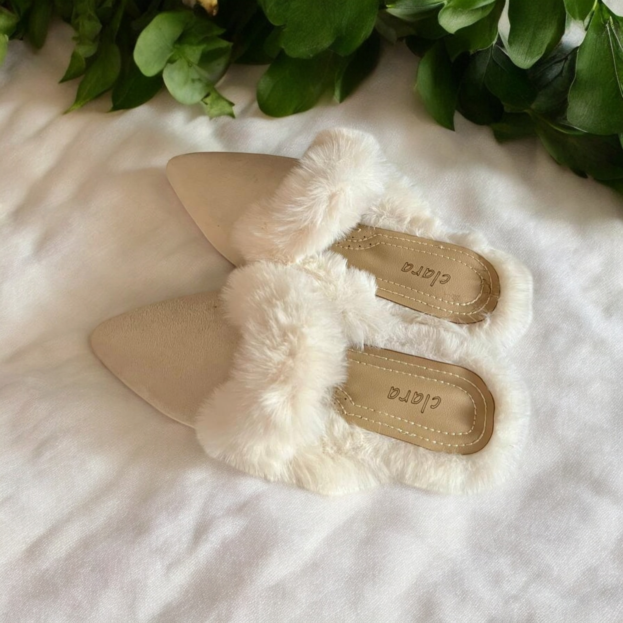 Photoroom-20250221_212040